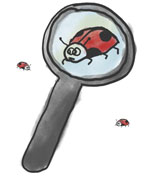 ladybug under a magnify glass